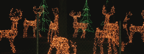 DWP Christmas lights at griffith park