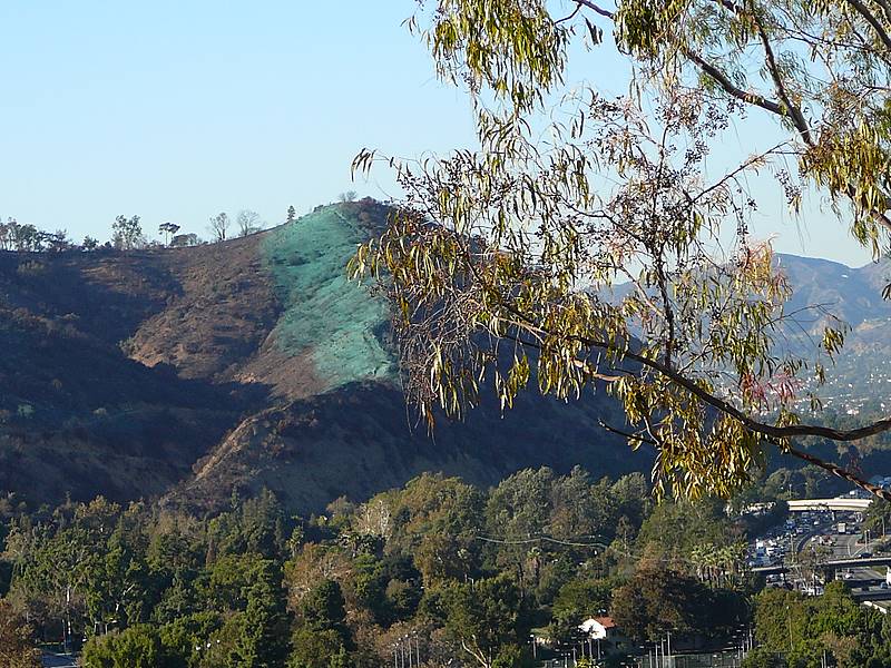 Hydromulch in Griffith Park