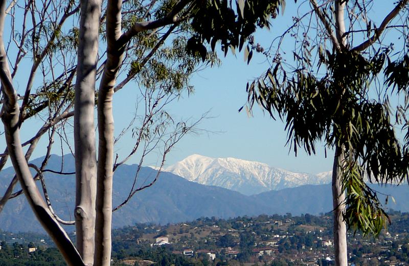 snow in Los Angeles