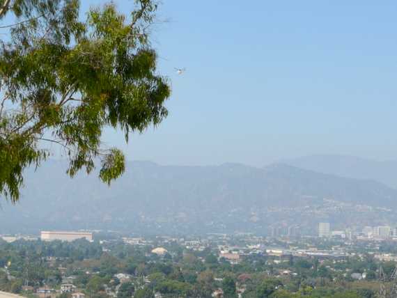 Helicopter loaded down with precious water over a smoggy Glendale