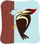 Woodpecker Clipart