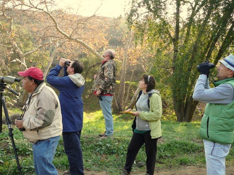 birder-tableau - birdwatchers birder-tableau - birdwatchers