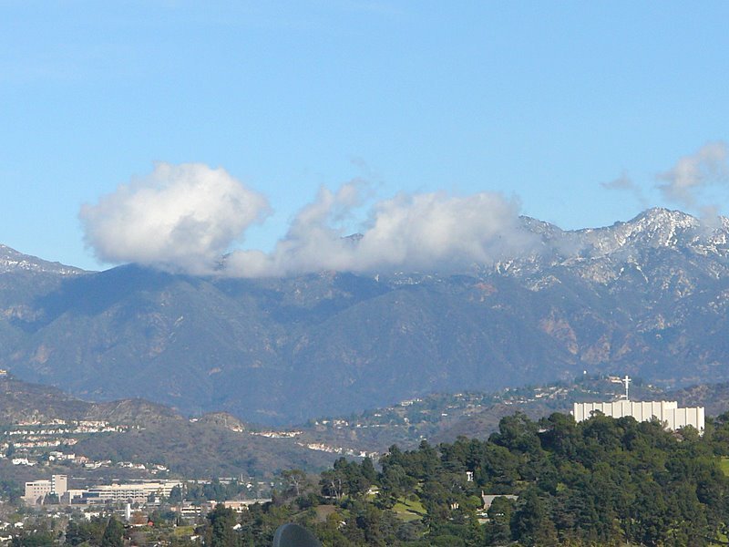 forest-lawn-snow.jpg