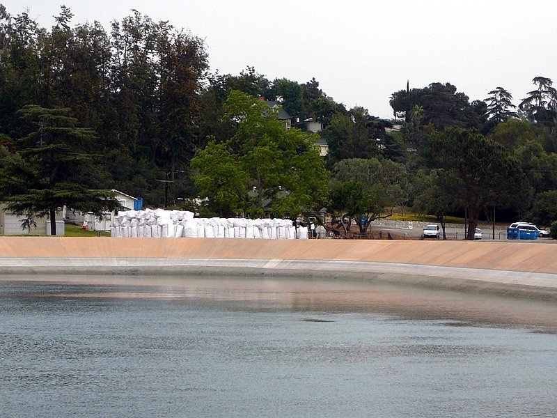 p1010093.jpg