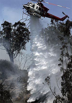Small fire near LA Zoo