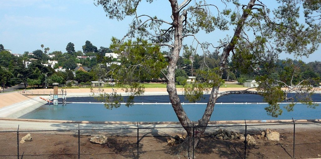 Black balls pollute Ivanhoe