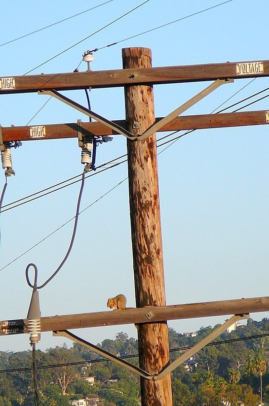 p1010413-1.jpg