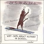 cat nails claws on chalkboard