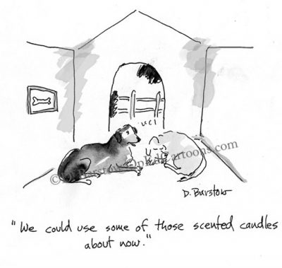 dogs in doghouse complain about the smell