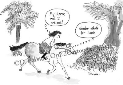 horse and rider cartoon