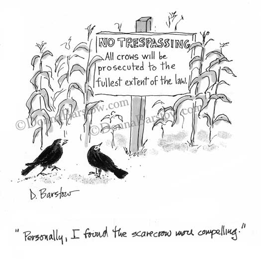 crows in cornfield discuss no trespassing sign