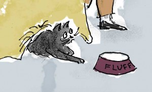 cat and food dish D Barstow