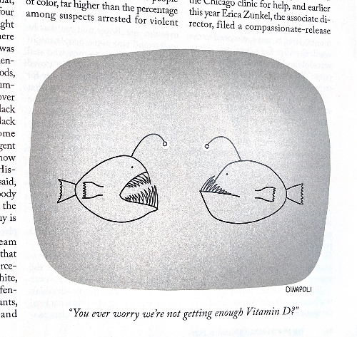 fish and vitamin d